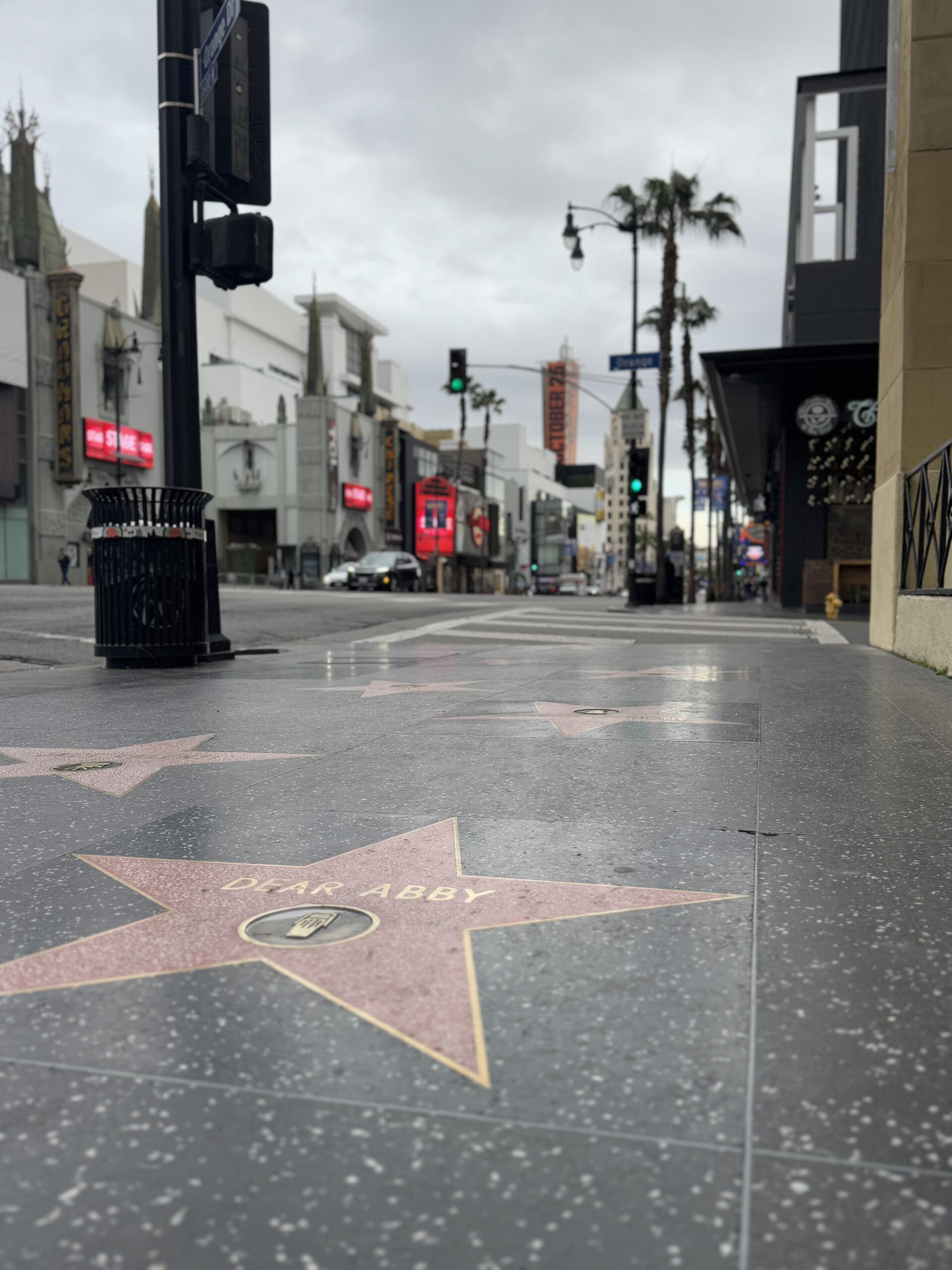 The walk of fame on Hollywood Boulevard on our Hollywood Sign Bike Tour